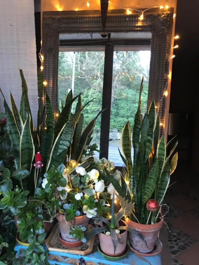 La Maison D' Elizabeth ลากราส ภายนอก รูปภาพ